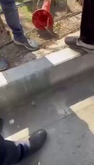 @Open Source Intel: Ali Akbar Abu-al-Hasani, Basij member at Sharif University and son-in-law of Ali Larijani, confronted protesters on campus today.
@TMiddleEastern