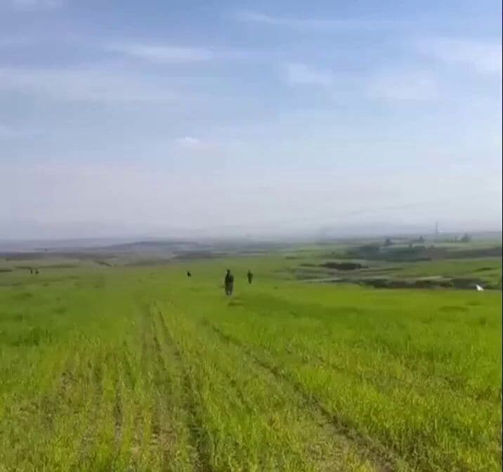 @Babak Taghvaee - The Crisis Watch: BREAKING: A one-way attack drone of the IRGC Aerospace Force can be seen crashing into a field somewhere in Erbil, Kurdistan Region of Iraq.
#OperationEpicFury #OperationLionsRoar