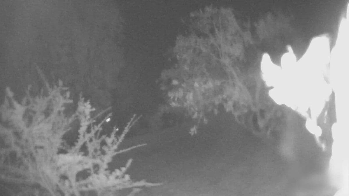 @Open Source Intel: WATCH 🔴
The IDF released bodycam footage of troops operating in southern Lebanon.
Forces from the 91st “Galilee” Division carried out a nighttime raid, destroying Hezbollah Radwan Force infrastruct