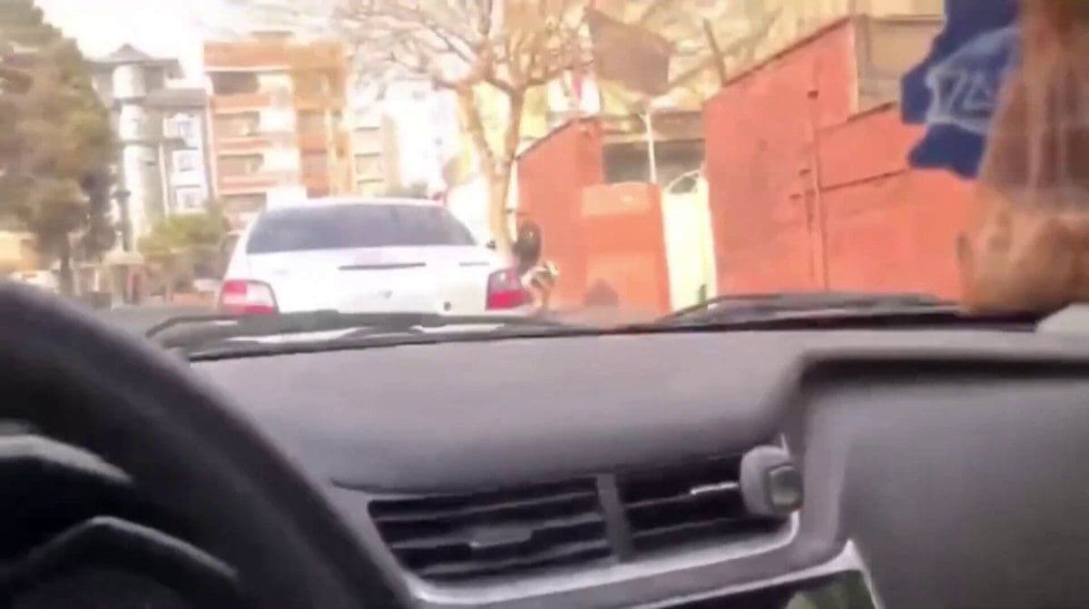 @Babak Taghvaee - The Crisis Watch: BREAKING: Security forces of the Islamic regime of Iran are following the same playbook as terrorist organizations such as Hamas. Right now, they have stationed their Basij paramilitary forces, specia