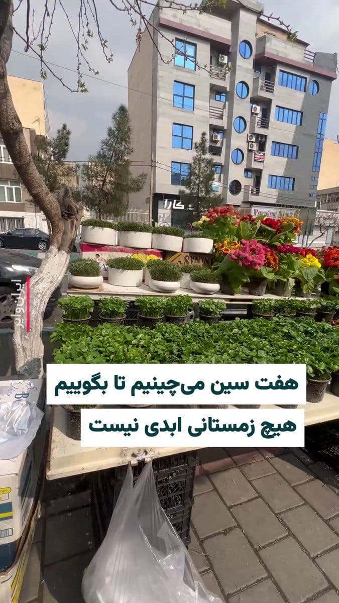 @ایران وایر: یکی از اهالی گیشا در تهران با ارسال این ویدئو برای ایرانوایر نوشت: دیشب تهران آرامتر از شبهای قبل بود اما بمباران بندر انزلی و رشت نگذاشت بخوابم. با این حال آمدم از این بساط شب عید چیزهایی برای سفره