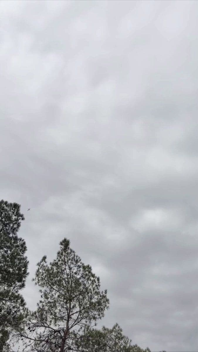 @Vahid Online: Registration of one of the #موشک s that flew toward eastern #تهران on Saturday morning.
Received video with description: 'At 10:28 a.m., we were at Behesht-e Zahra; six or seven of these missiles pass