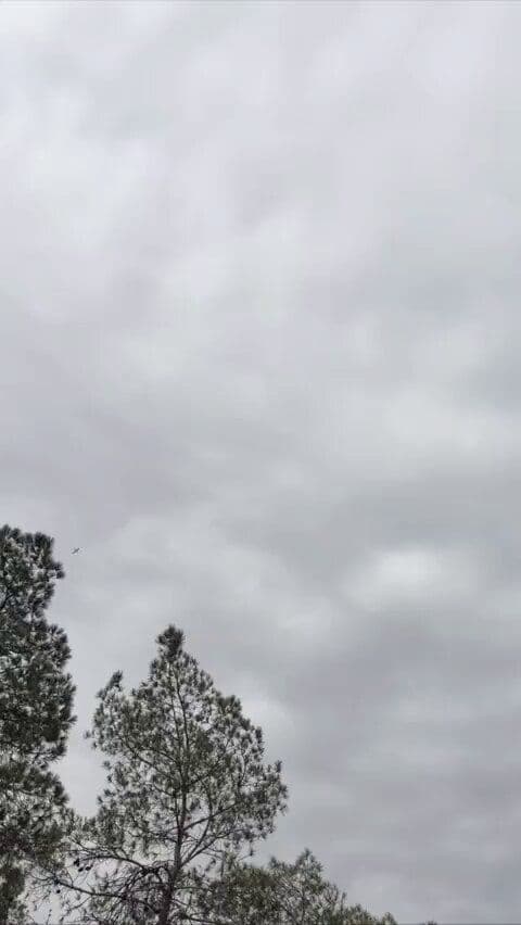@Babak Taghvaee - The Crisis Watch: BREAKING: This footage shows one of these Tomahawk cruise missiles flying over the south of Tehran on its way toward the headquarters of the Iranian Air Force. They were launched by Arleigh Burke-clas