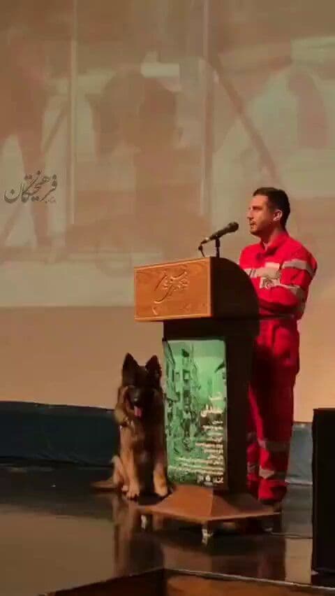 @Babak Taghvaee - The Crisis Watch: Leo is a search and rescue dog of the Iranian Red Crescent Society based in Mashhad. He was deployed to Tehran, where he took part in urban search-and-rescue missions to locate wounded and deceased ci
