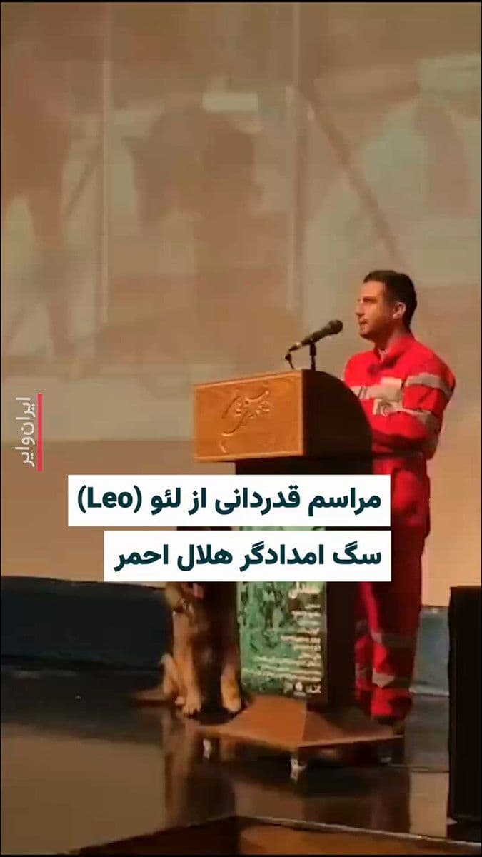 @ایران وایر: On the sidelines of the "Night of Empathy" event of *Bukhara* magazine, a ceremony was held to honor one of the Red Crescent's rescue dogs.
Leo, the Red Crescent Mashhad rescue dog, played a signific