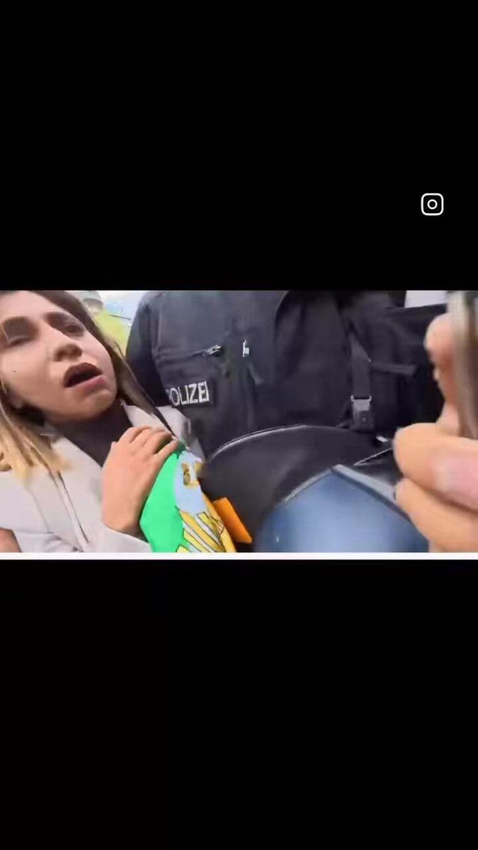 @Masih Alinejad 🏳️: Shocking moments: watch how some Western activists repeatedly attack an Iranian activist simply for calling the Islamic Republic and Hamas terrorist organizations.
Her name is Kosar Eftekhari and she