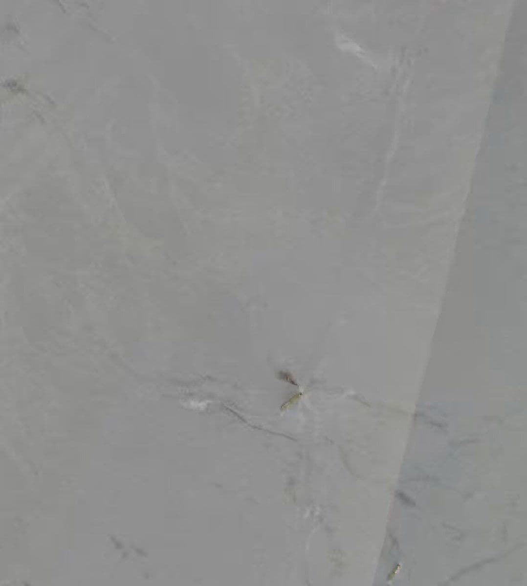 @Open Source Intel: Sentinel-2 imagery from May 16 shows roughly 20 oil and gas tankers anchored off Iran’s Kharg Island.
According to @SoarAtlas, one LPG tanker appears to be loading cargo, potentially marking the firs