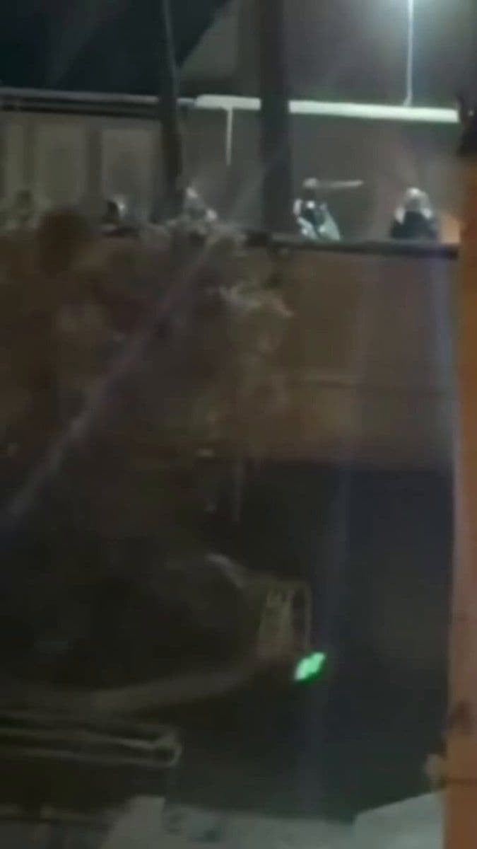 @✡︎𝐋𝐢𝐯𝐞𝐈𝐫𝐚𝐧𝐍𝐞𝐰𝐬🇮🇷🇮🇱: 🚨Don’t stop talking about Iran.
⚠️CRIME RECORDED / Crime against humanity by the Islamic Republic terrorist regime
A new horrifying video just came out showing IRGC terrorists attacking protesters w